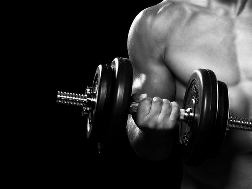 Ipamorelin 5 mg Peptide Sciences Steroid-Kurs: Ein umfassender Leitfaden